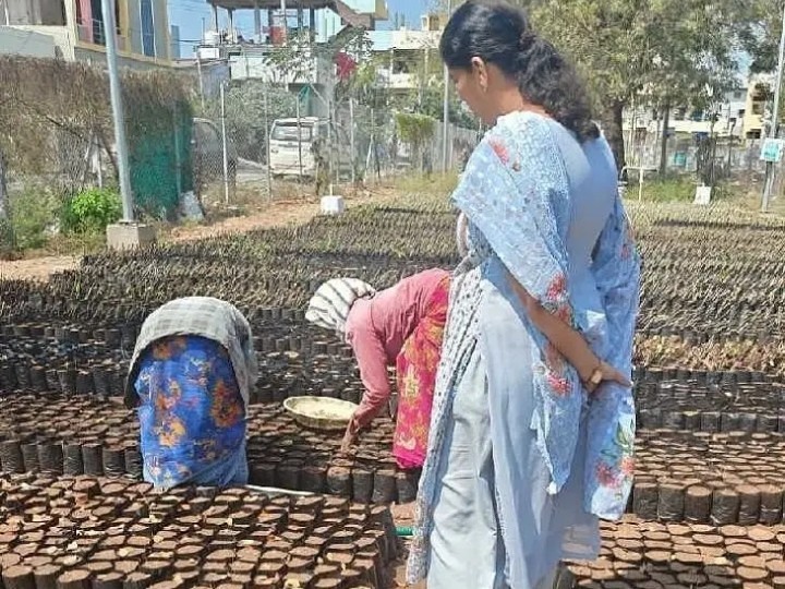 నాణ్యమైన మొక్కలు సకాలంలో సిద్ధం చేయాలని