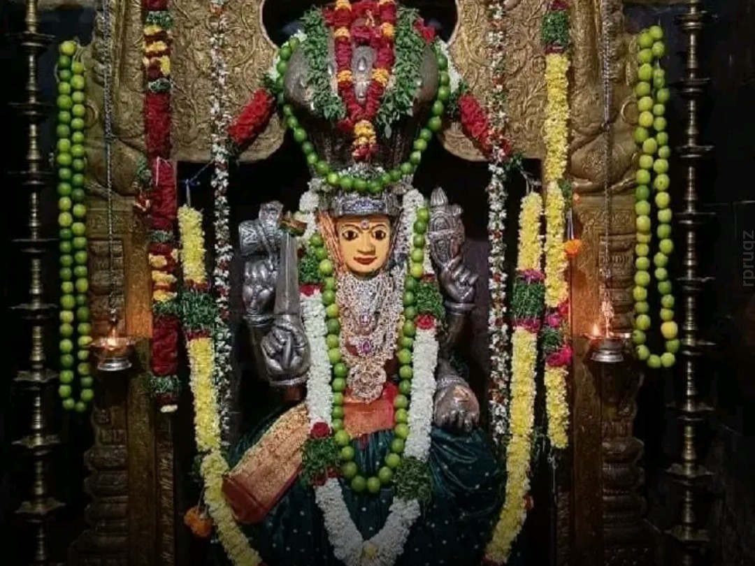 దర్వేశీపురంలో రేణుక ఎల్లమ్మ దివ్యదర్శనం