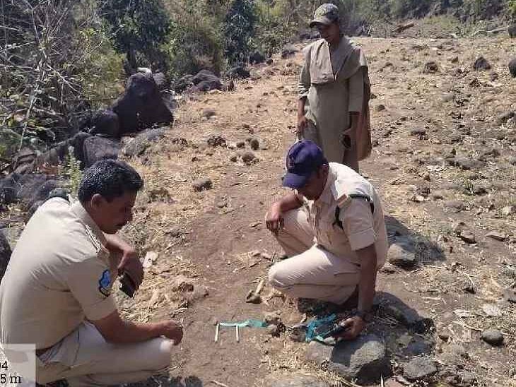 కొత్తపల్లి నార్త్ బీట్లో అటవీ అధికారుల గస్తీ