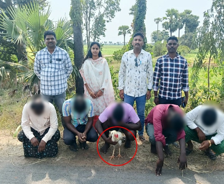 కోడి పందేల స్థావరంపై పోలీసుల మెరుపు దాడి