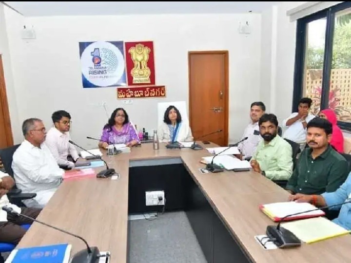 పీఎం శ్రీ పనులు వేగవంతం చేయాలి: కలెక్టర్