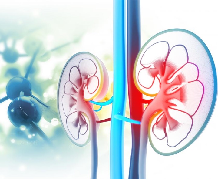 అనూరియా కేసులు.. హైల్ప్‌లైన్ ఏర్పాటు