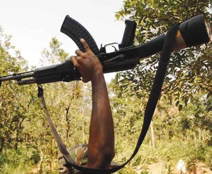 రేపు లొంగిపోనున్న తెలంగాణ మావోయిస్టు కేడర్