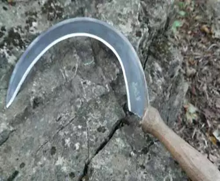 భార్యను కొడవలితో నరికిన భర్త