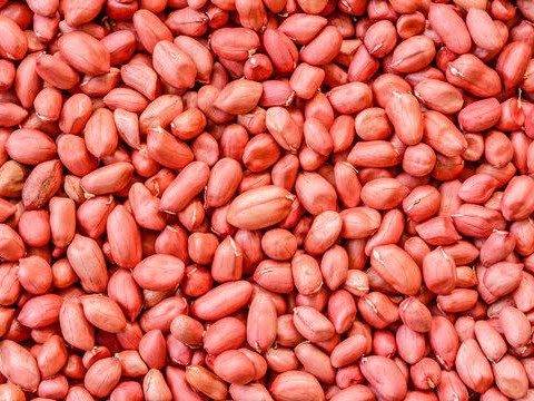 నేటి చిరుధాన్యాల ధరలు ఇలా..!