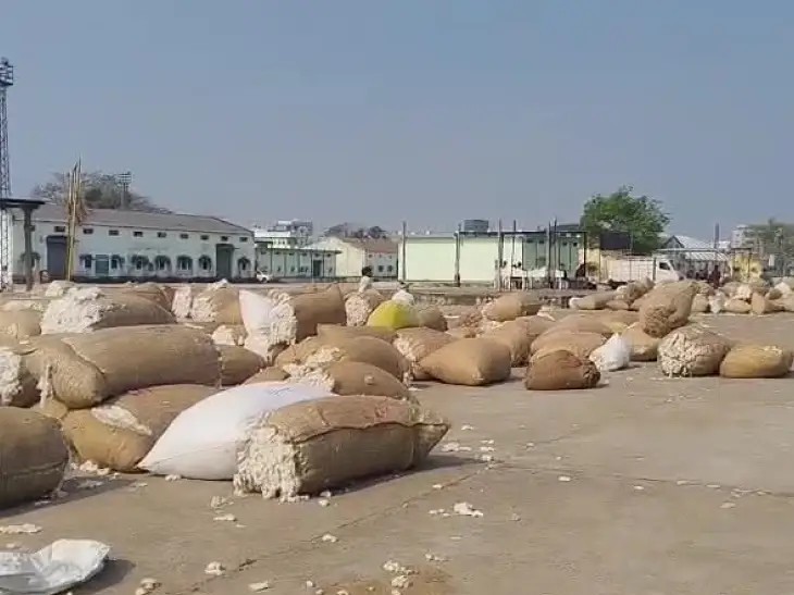 పెద్దపల్లి మార్కెట్లో పత్తి గరిష్ట ధర ఎంతంటే.?