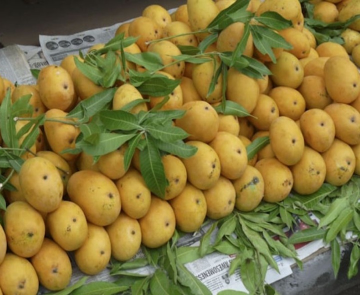 ‘బంగినపల్లి’ మామిడికి భలే డిమాండ్