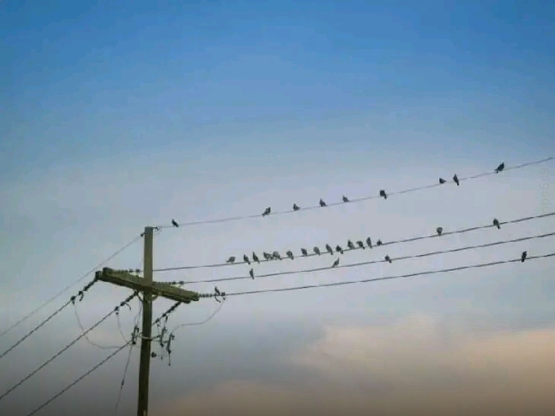 విద్యుత్  సరఫరాలో అంతరాయం