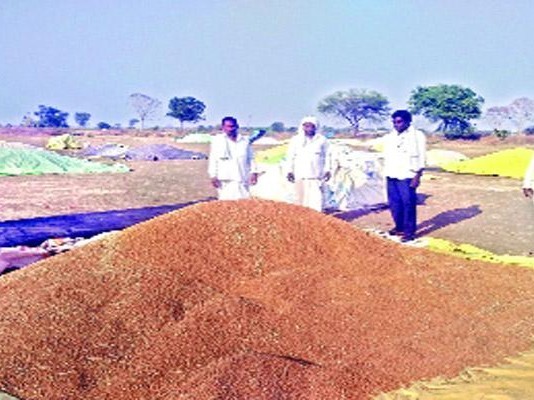 శేనగ కొనుగోలు కేంద్రం ఏర్పాటు చేయాలి