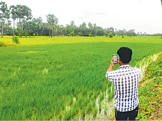 నేటితో ముగియనున్న ఈ పంట నమోదు