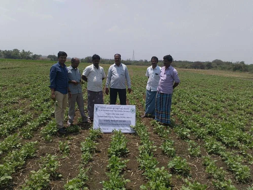 వ్యవసాయ సాగుపై రైతులకు అవగాహన
