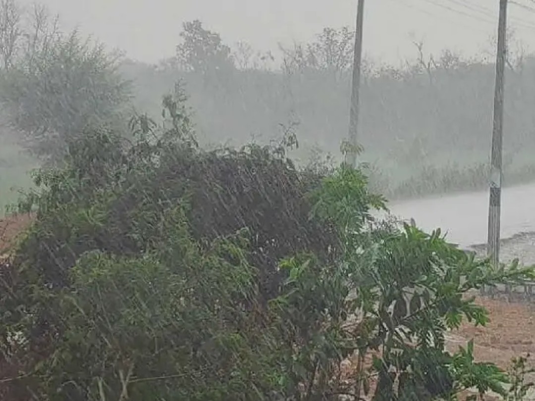 అకాల వర్షాలతో మామిడి రైతు విలవిల