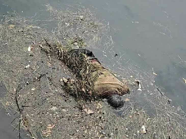 కెనాల్లో గుర్తుతెలియని మృతదేహం