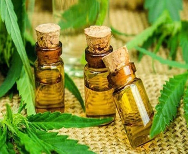 రూ.200 కోట్ల విలువైన గంజాయి పట్టివేత