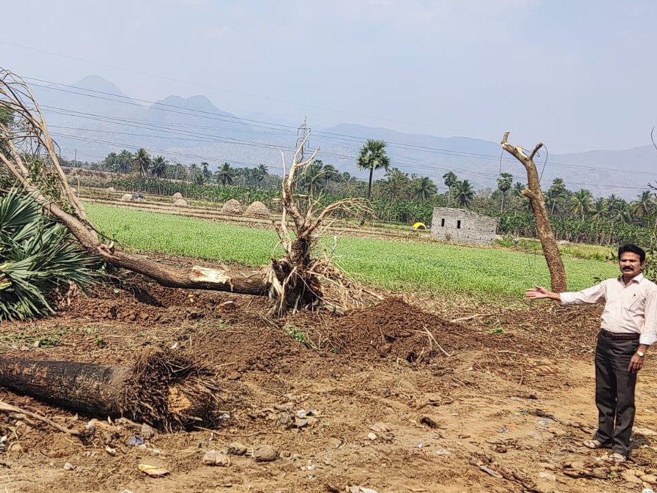 ‘వాల్టా చట్టాన్ని ప్రతి ఒక్కరూ గౌరవించాలి’