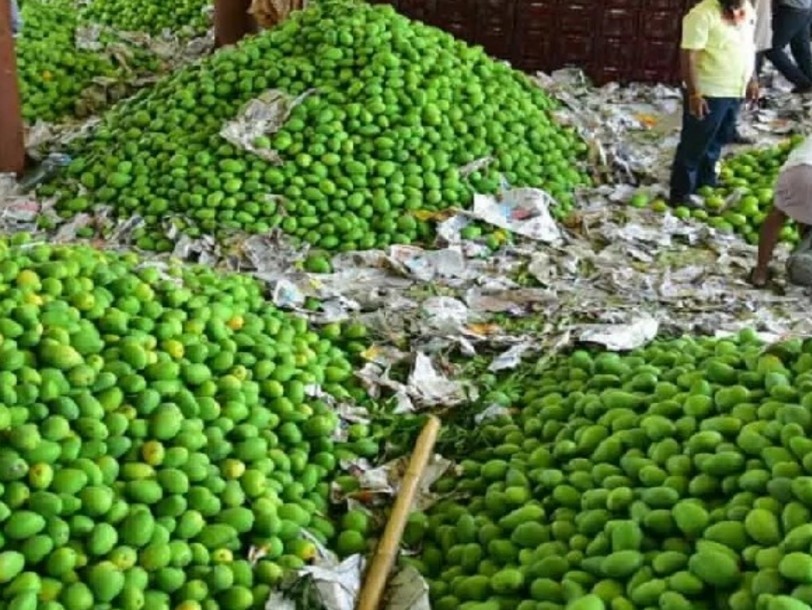 బాటసింగారం మార్కెట్‌లో తోతాపురి మామిడి రాక