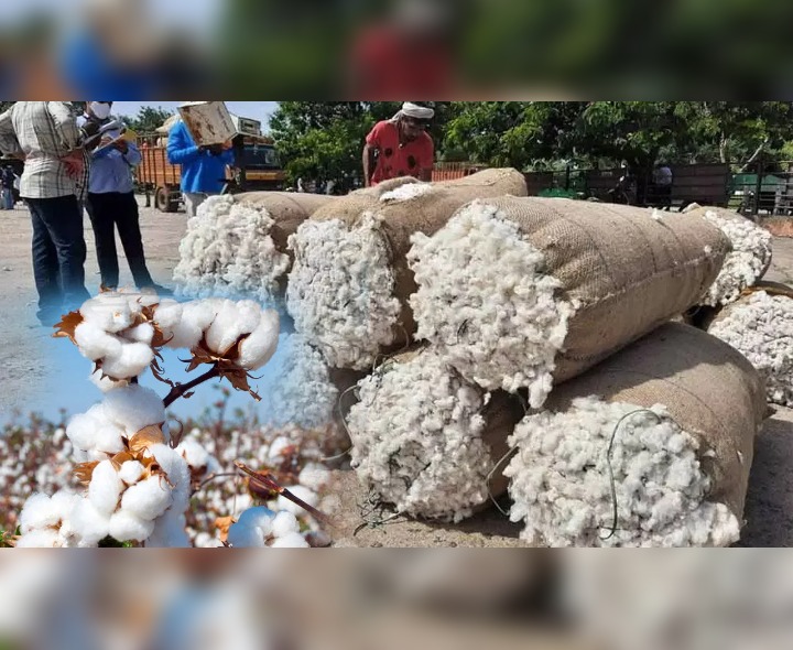 మార్కెట్ యార్డ్‌లో పత్తి ధరలు ఇవే