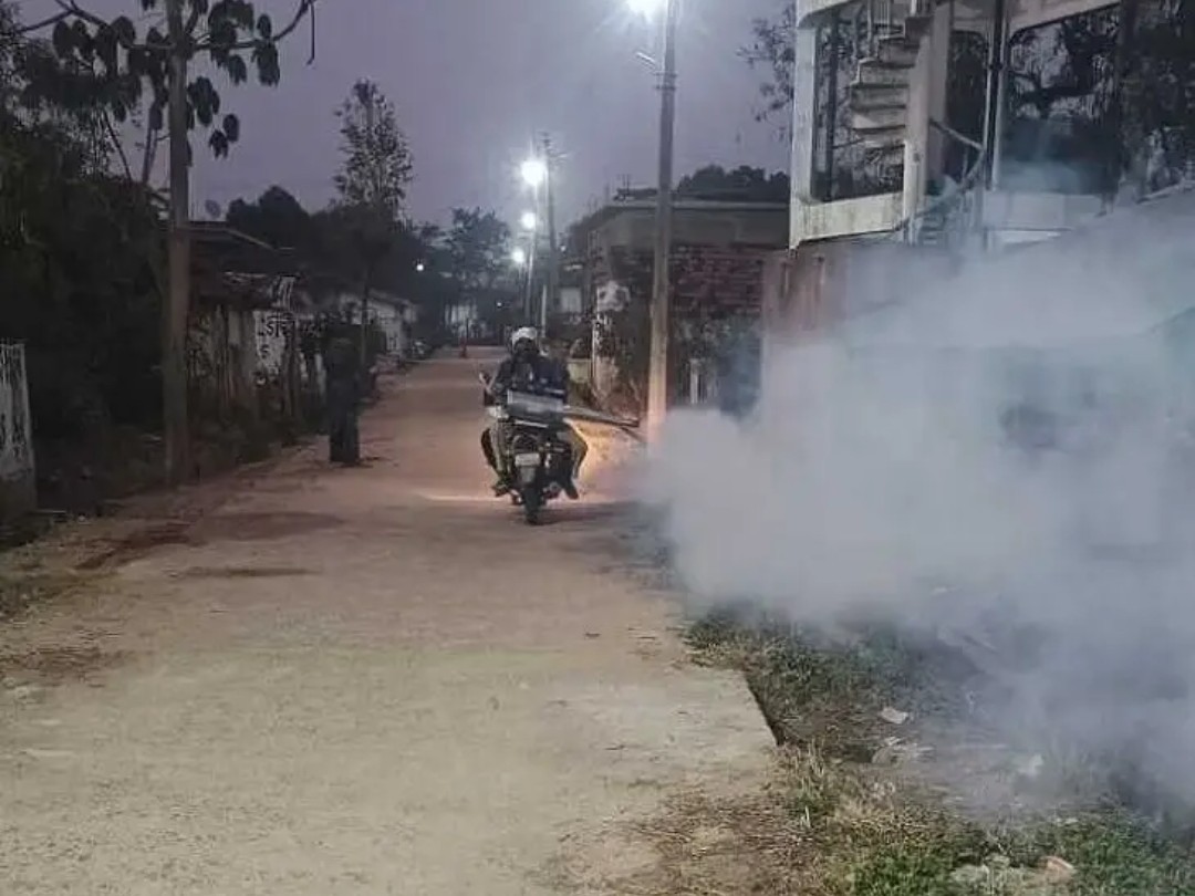 దోమల నివారణకు ప్రత్యేక చర్యలు