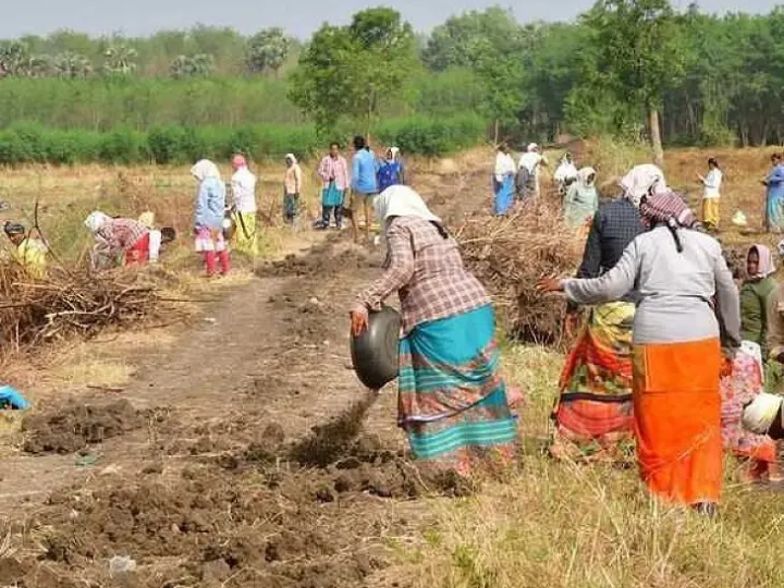 ఉపాధి హామీ పనులు.. కూలీల ఆవేదన..!