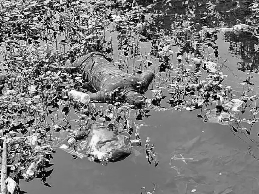 చెరువులో గుర్తుతెలియని మృతదేహం లభ్యం