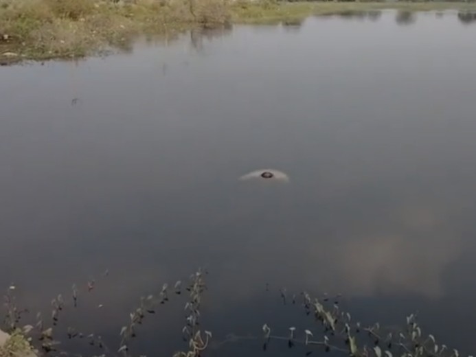 చెరువులో మృతదేహం లభ్యం