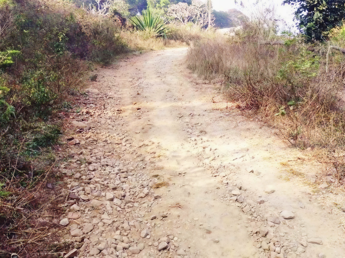 ఈ రహదారి ప్రజలకు నిత్యకష్టం