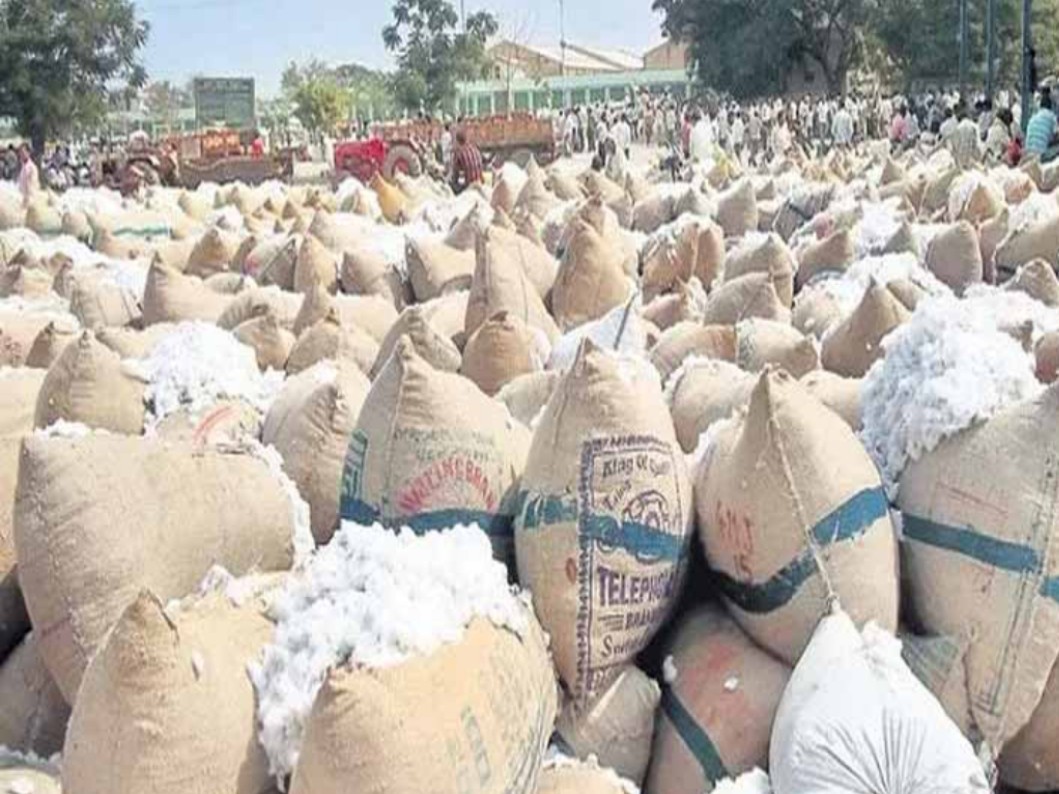 క్వింటా పత్తి ధర ఎంతంటే.?