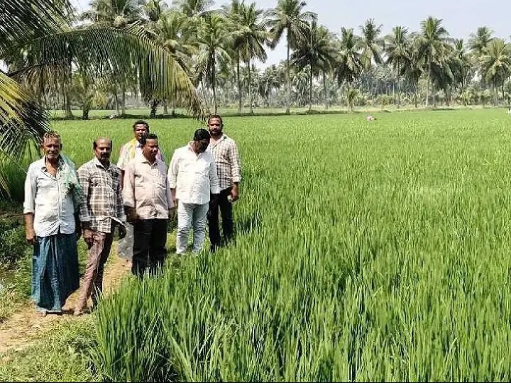 ప్రతి ఎకరాకు సాగునీరు అందిస్తాం: డీఈ