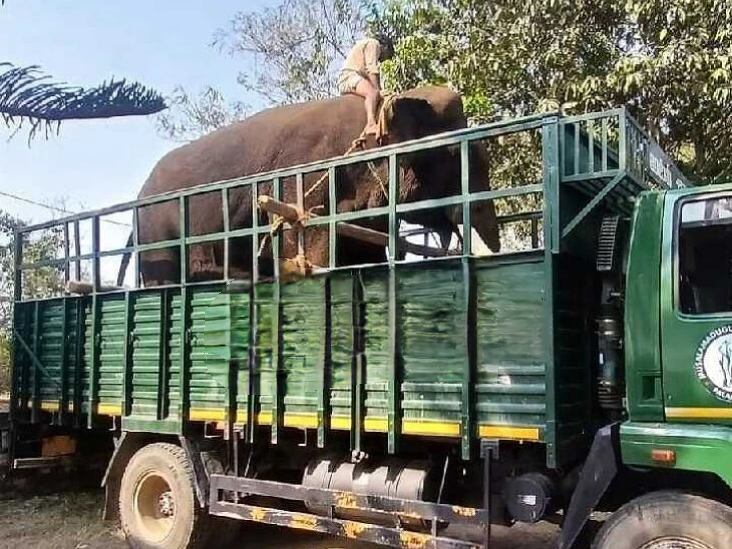 ఏనుగుల నియంత్రణకు ‘ఆపరేషన్ గజ’