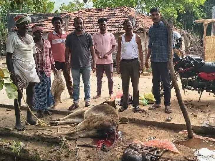 శ్రమించినా దక్కని ఫలితం