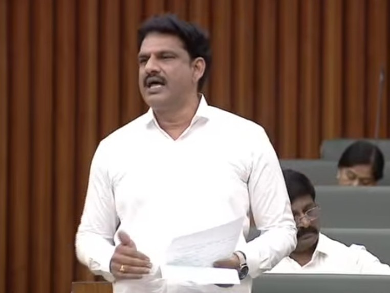 వ్యవసాయమే రాష్ట్రానికి ప్రాణాధారం: MLA