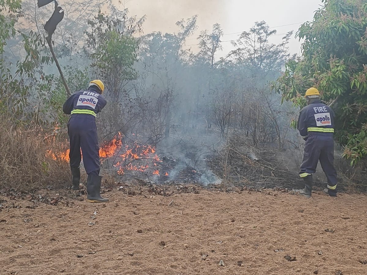 మామిడి తోటలో అగ్ని ప్రమాదం