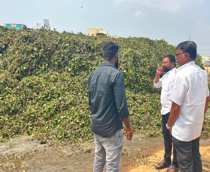 వామ్మో గుట్టలను తలపిస్తున్న.. గుర్రపు డెక్క..!