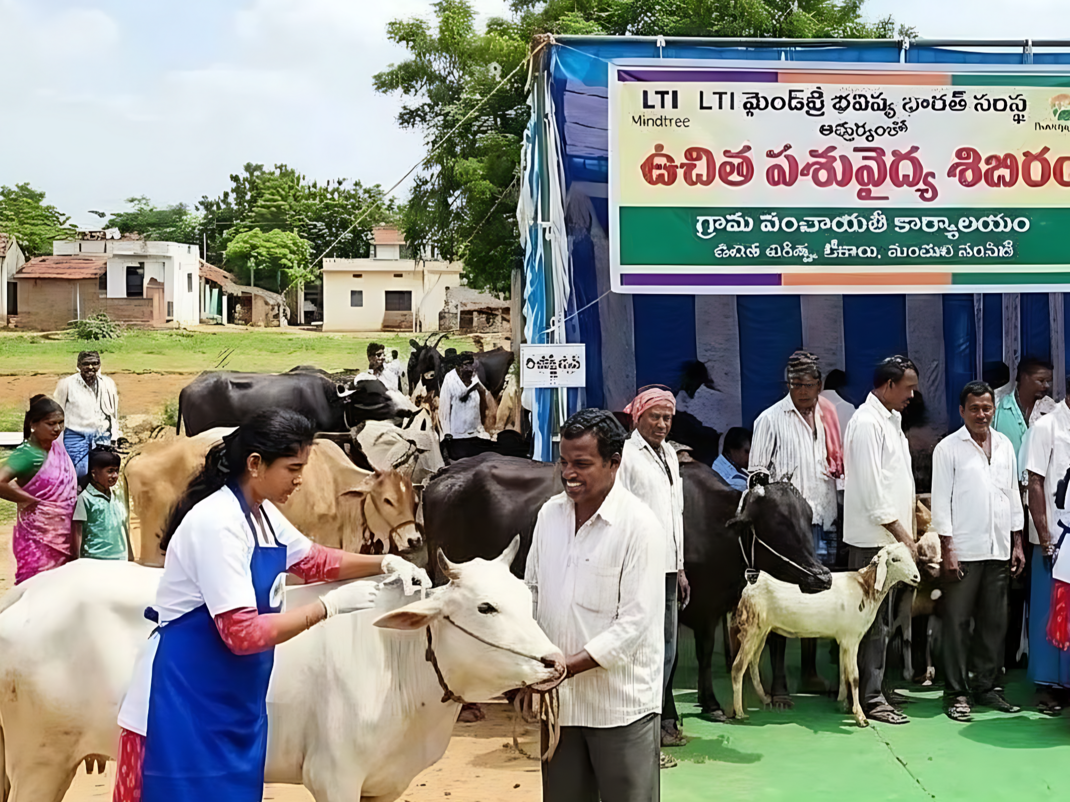 మిట్టదొడ్డి ఉచిత పశు వైద్య శిబిరం