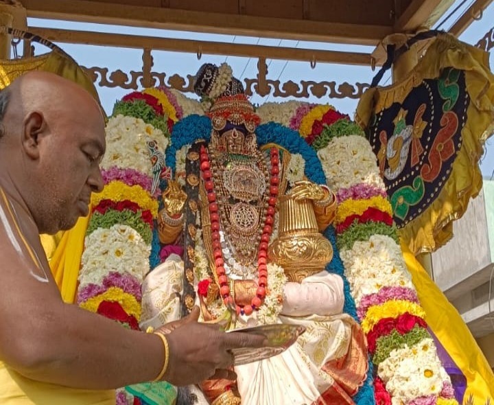 మోహిని అవతారంలో దర్శనమిచ్చిన శ్రీవారు