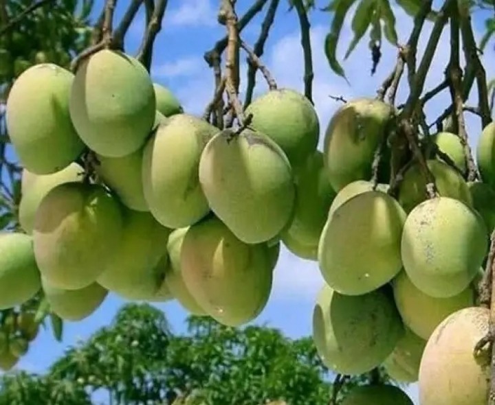 చిత్తూరు MLAలకు ఇవి కనబడటం లేదా..?