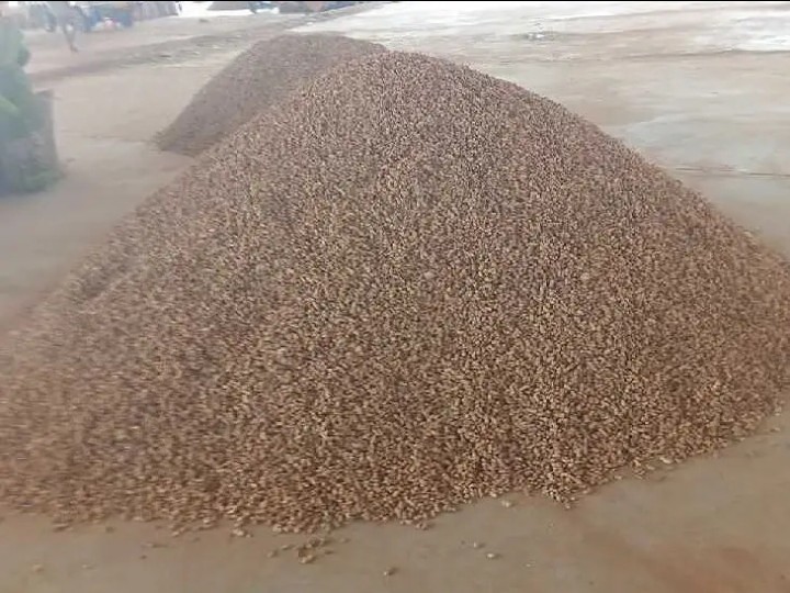 వేరుశనగ గరిష్ఠ ధర రూ.10119