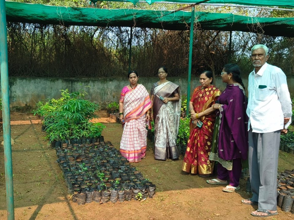‘నర్సరీల పెంపకంపై ప్రత్యేక శ్రద్ధ తీసుకోవాలి’