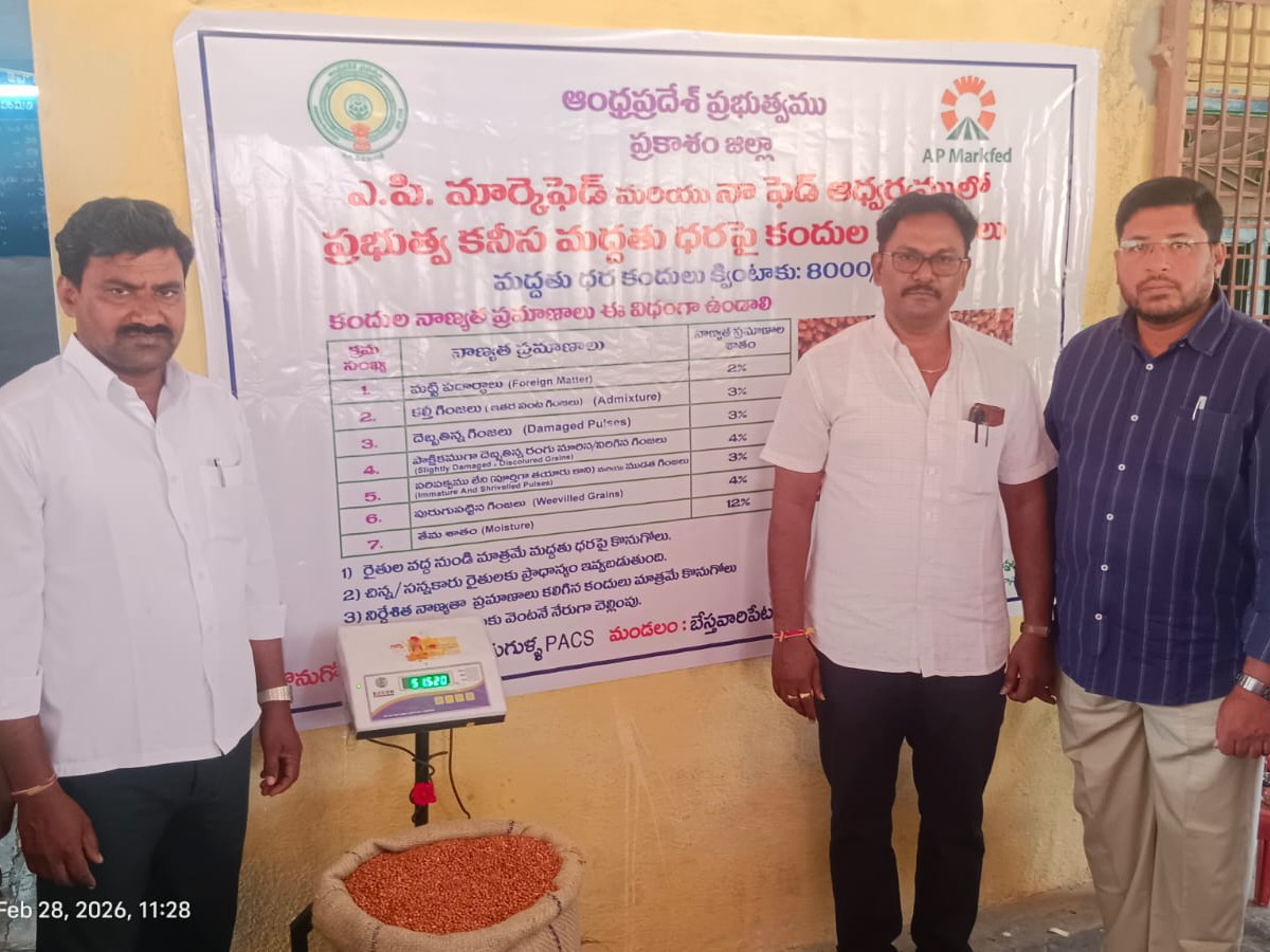 గలిజేరుగుళ్లలో శనగలు, కందులు కొనుగోలు ప్రారంభం