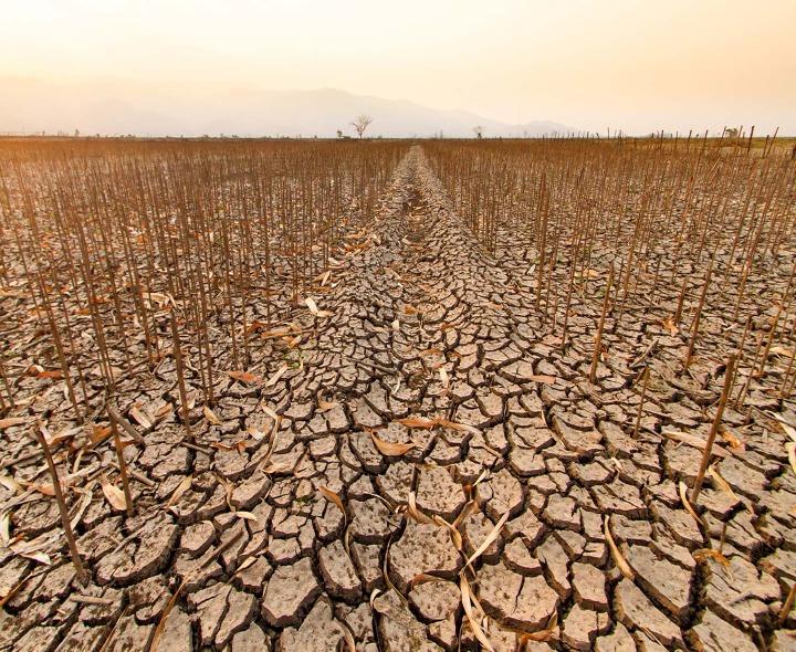 జిల్లాలో 25 కరవు మండలాలు