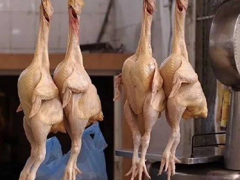 జిల్లాలో కేజీ చికెన్ ధర ఎంతంటే !