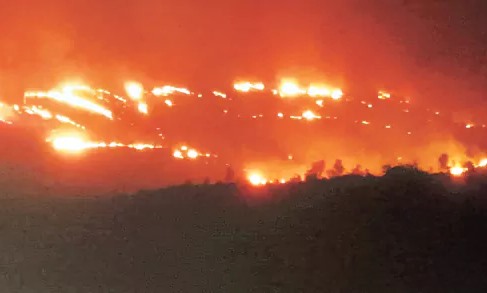 600 ఎకరాల్లో హార్సిలీహిల్స్‌ అడవి దగ్ధం