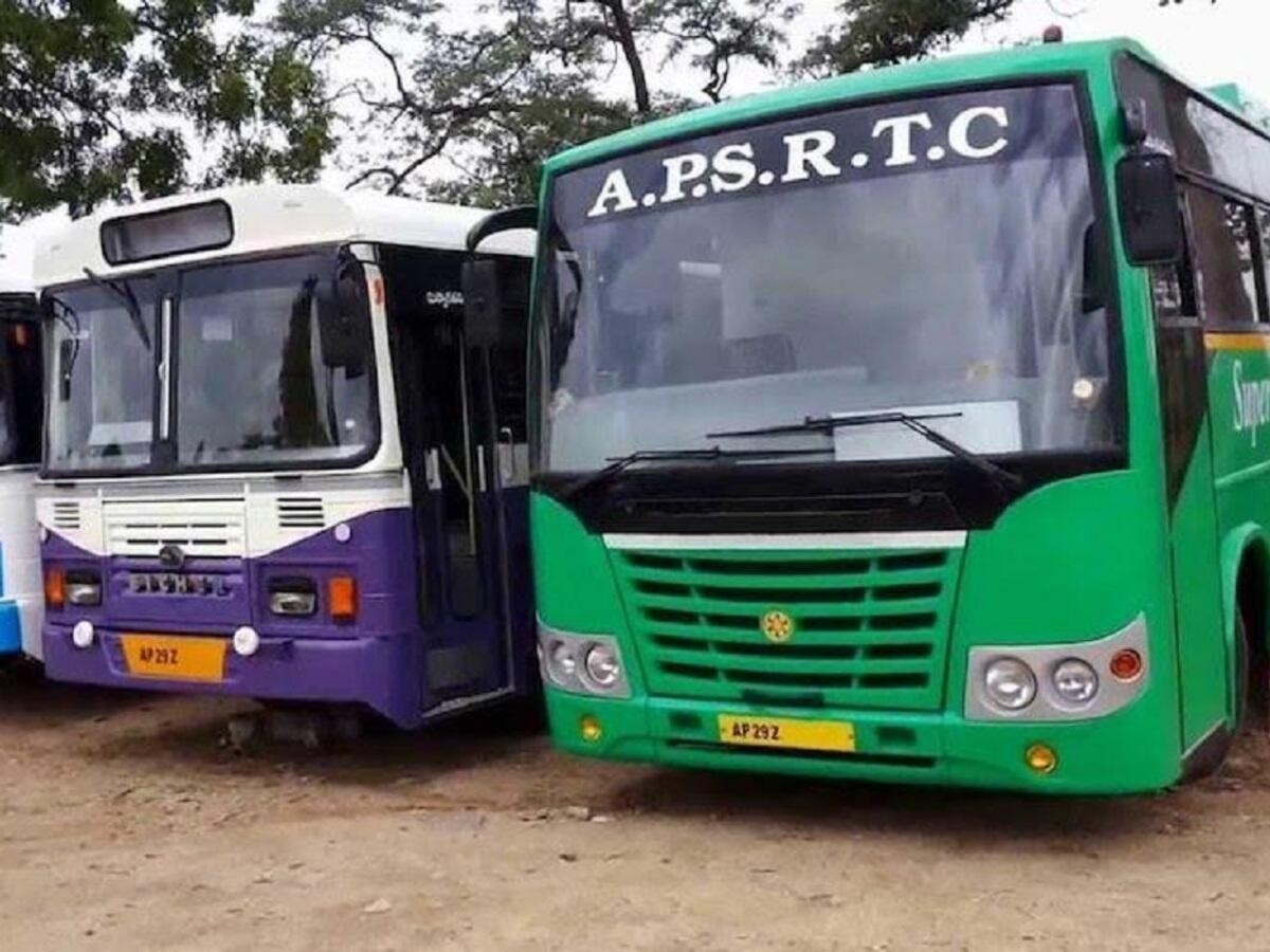 వాల్మీకి గుహలకు ప్రత్యేక బస్సు