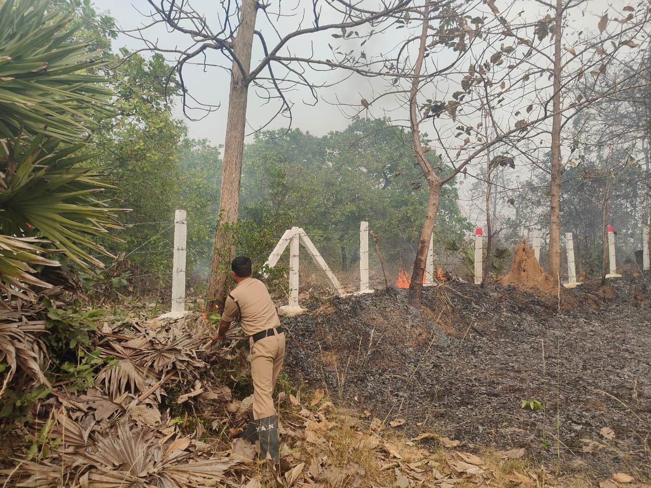 నీలగరి తోటలో అగ్నిప్రమాదం