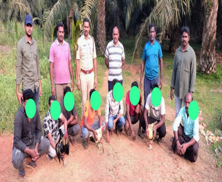 కోడిపందాలపై పోలీసుల దాడి.. 8మంది అరెస్ట్