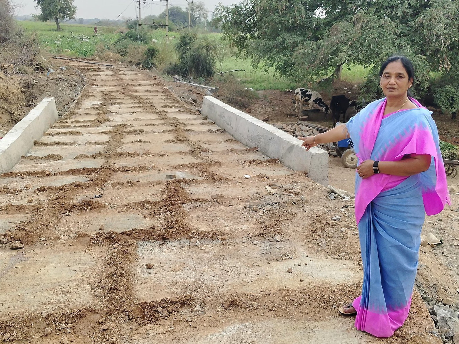 సీసీ రోడ్లను పరిశీలించిన ఎమ్మెల్యే