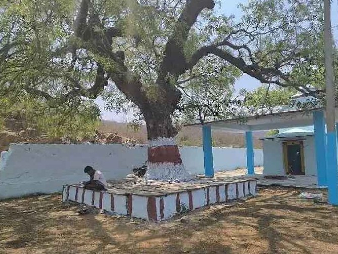 రేపు మిట్టమానుపల్లె కొండ సింగరాయ స్వామి ఉత్సవం