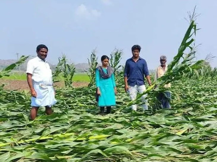 అకాల వర్షం.. రైతుకు తీరని కష్టం..!