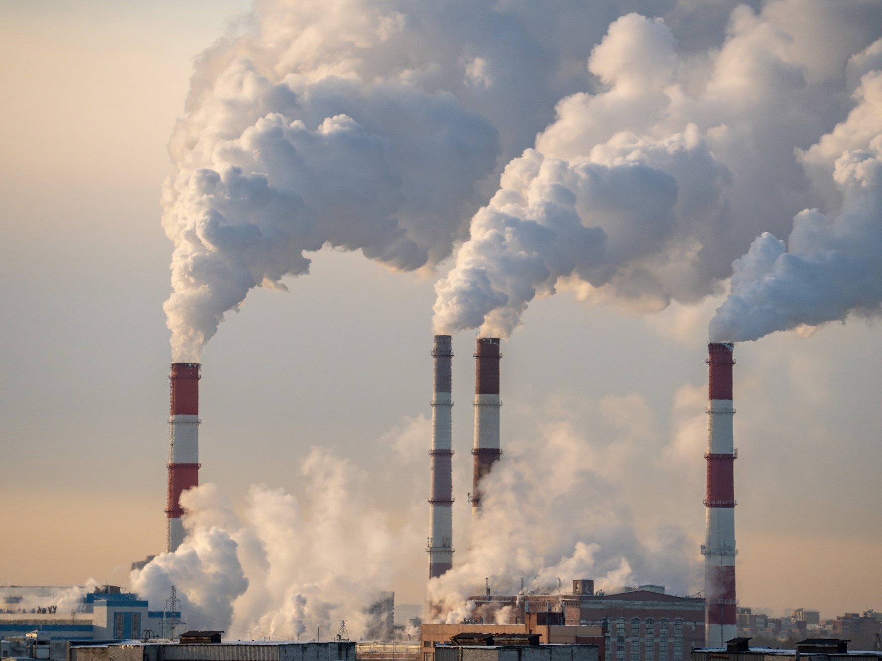 కెమికల్స్ వాసన భరించలేకపోతున్నాం..!