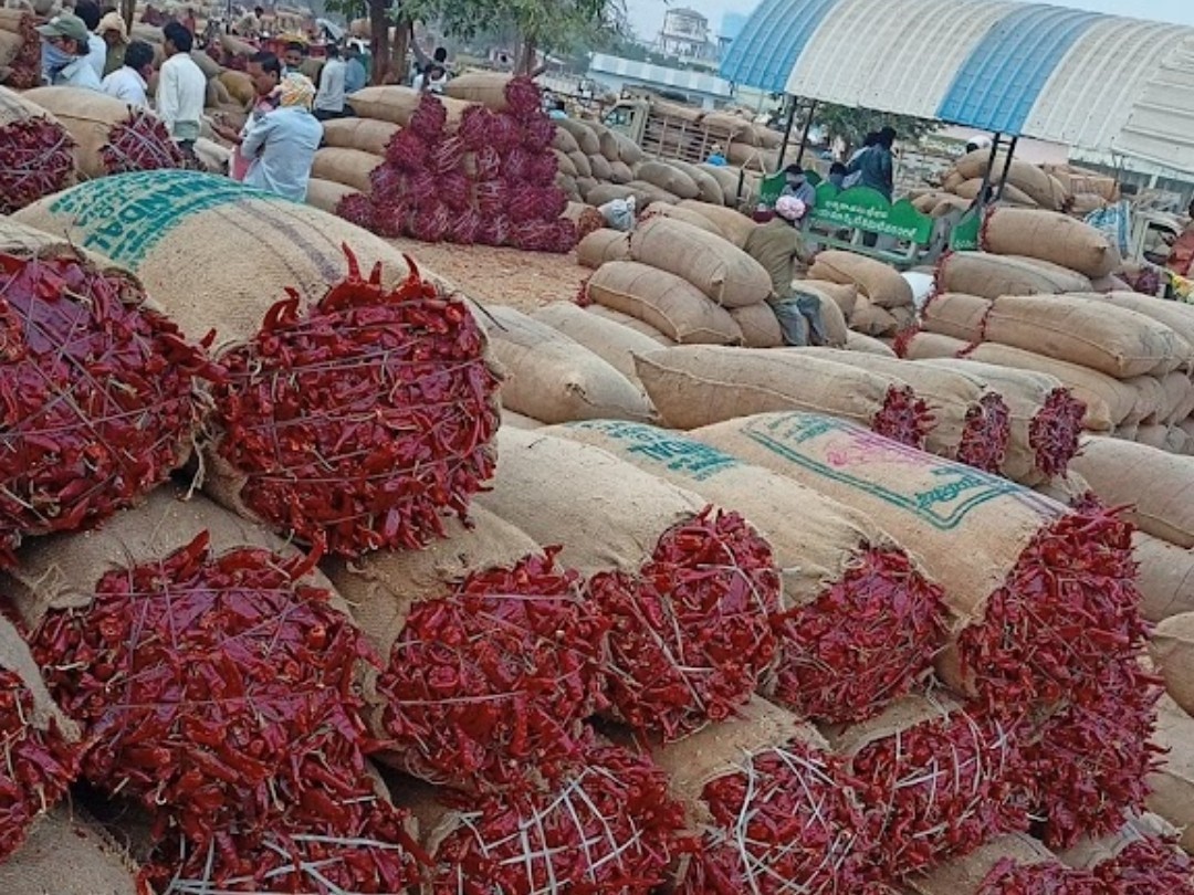 వరంగల్ మార్కెట్ లో మిర్చి ధరలు ఇలా..!